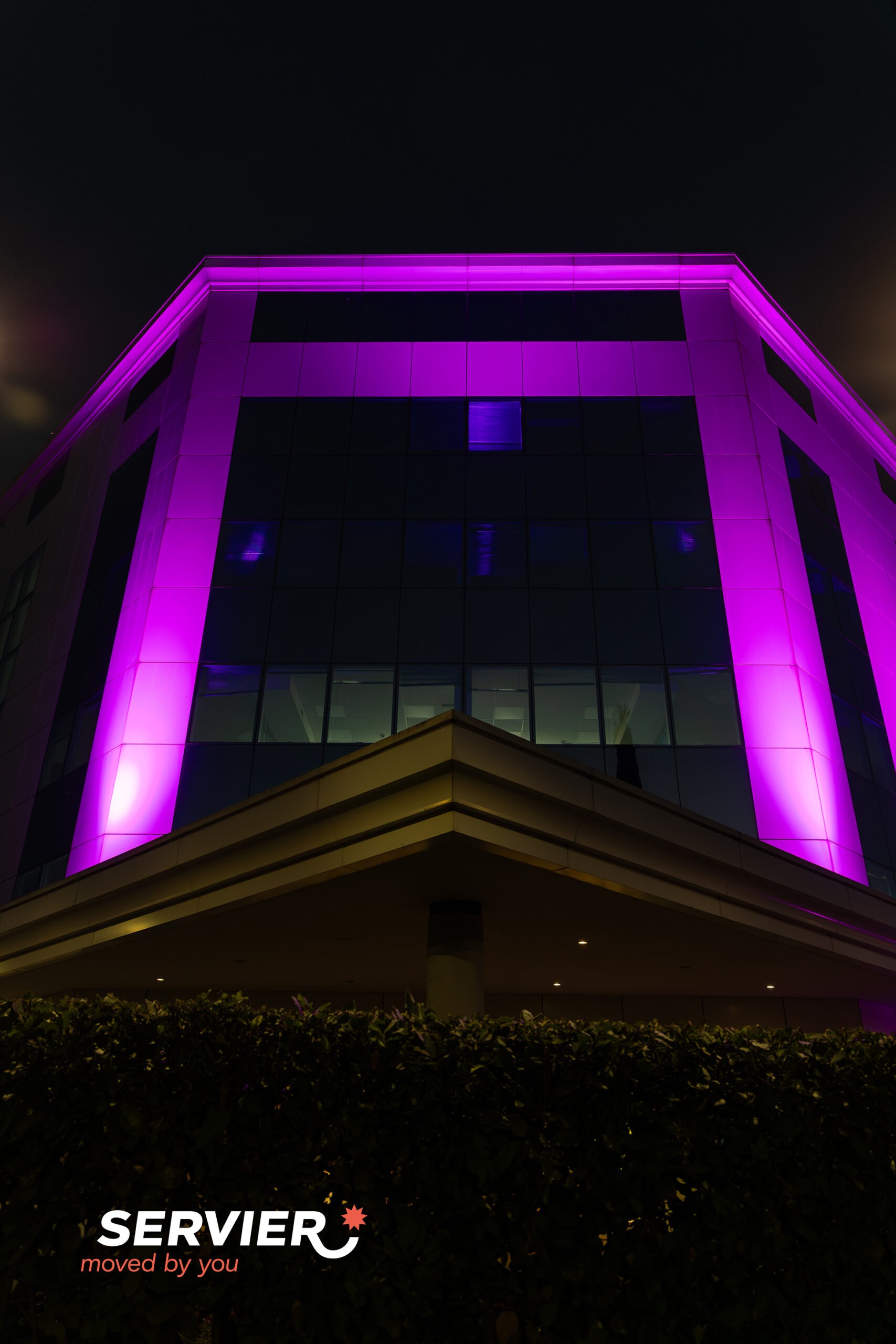 World Pancreatic Cancer Day 2025